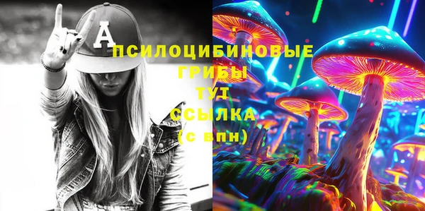 гидра Лиски