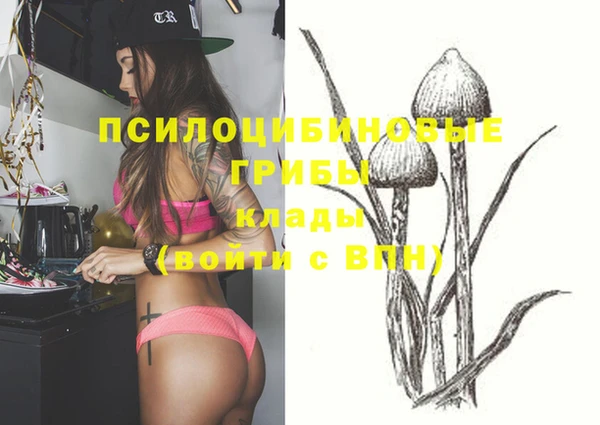 гидра Лиски