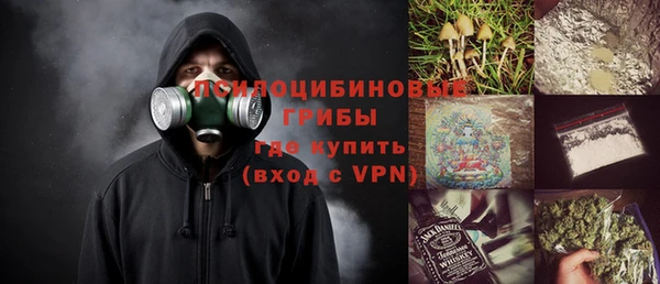 гидра Лиски