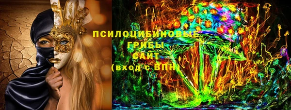 гидра Лиски
