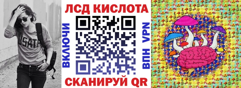 Купить где  Ленинградская  Марки N-bome 1,8мг 