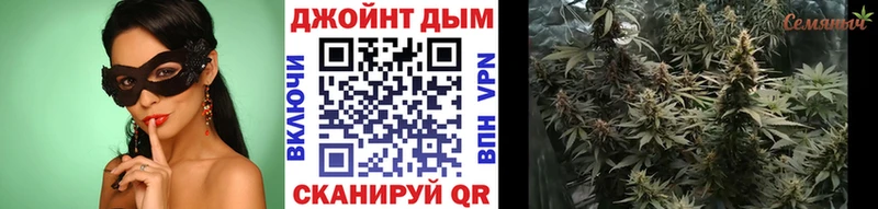 Конопля ГИДРОПОН Ленинградская